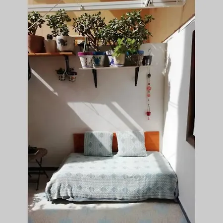 شقة Lovely Studio, Terrace, Swim Pool, Nature, Relax!!